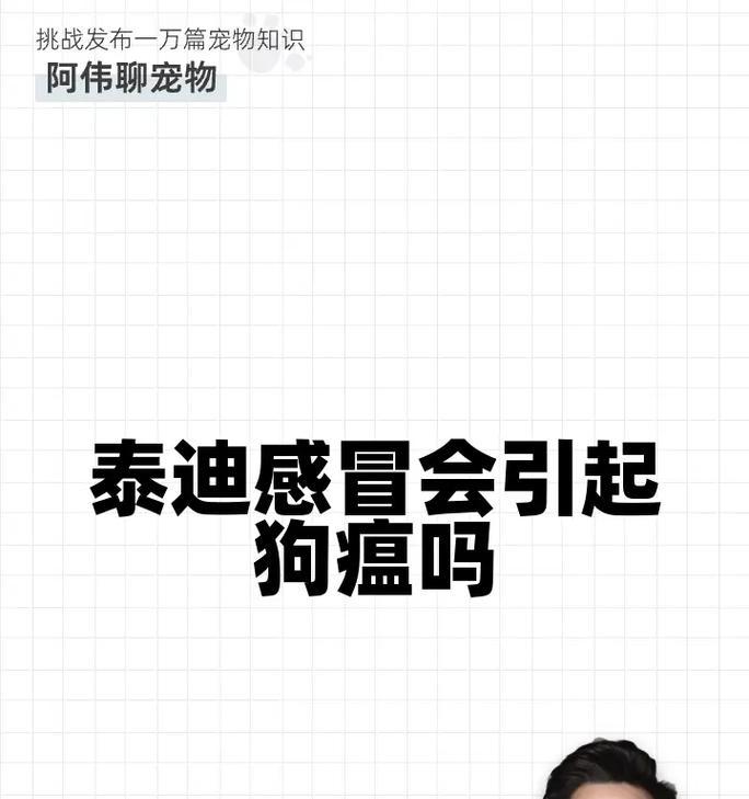 泰迪狗感冒特征揭秘（泰迪狗感冒的症状、治疗方法及预防措施）
