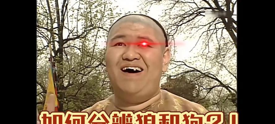 狗狗的复杂表情（狗狗面部表情的起源与演化）