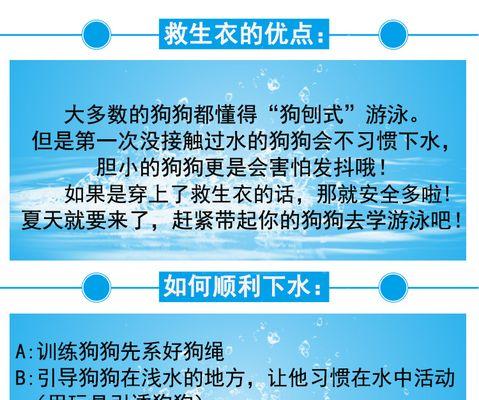 泰迪犬游泳能力之探究（探索泰迪犬游泳耐力和技巧的关键因素）