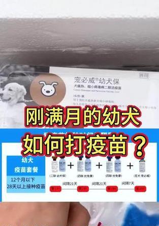 狗打完疫苗多久查细小的（疫苗注射后的细小检测步骤详解）