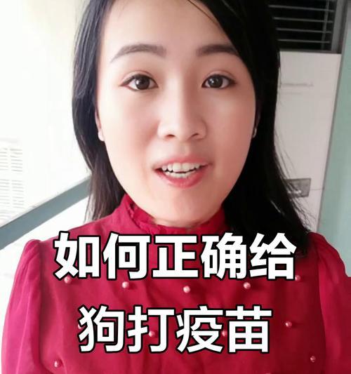 犬疫苗接种流程及注意事项（保护宠物健康，正确接种犬疫苗）