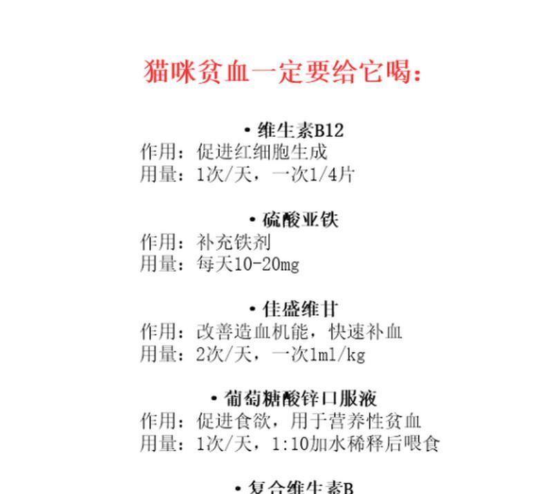 探究猫贫血的原因及预防方法（揭秘猫贫血背后的主要因素和保护你的爱宠的有效方法）