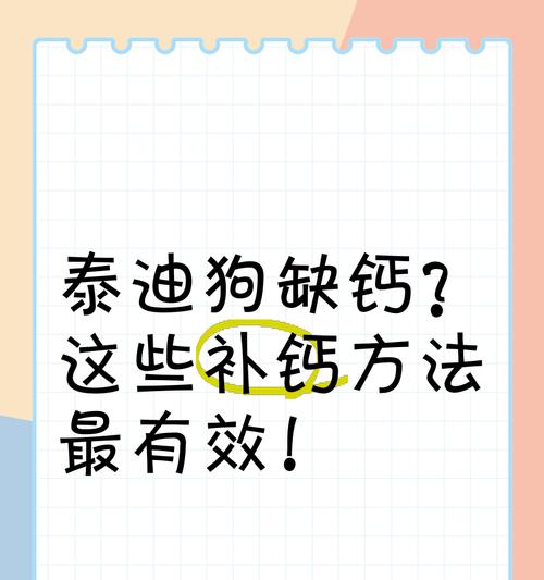 泰迪怀孕多久开始补钙？（泰迪犬补钙时间点及注意事项）