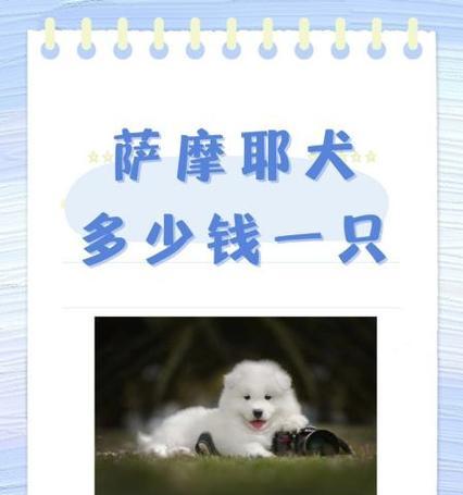 了解萨摩犬的不同品种（探索萨摩犬世界中的多样性）