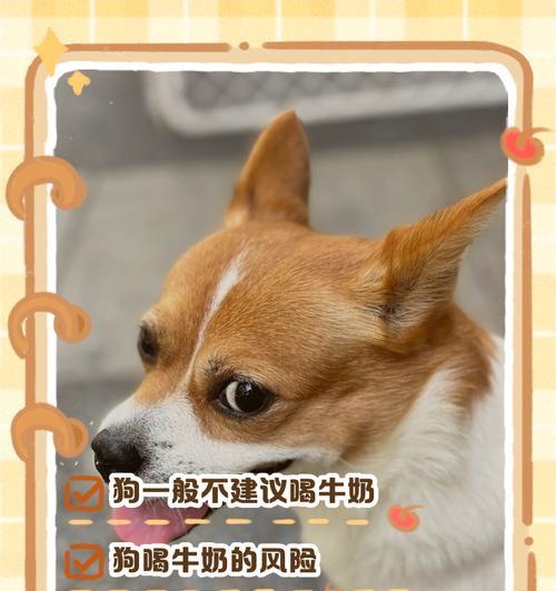 小狗喝奶牛奶还是羊奶好？（选择合适的乳制品对狗狗的消化系统至关重要）