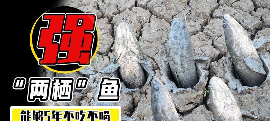 不吃不喝水能活多久？揭秘人体生存极限（水是生命之源，缺水生存时间取决于环境和个体健康状况！）
