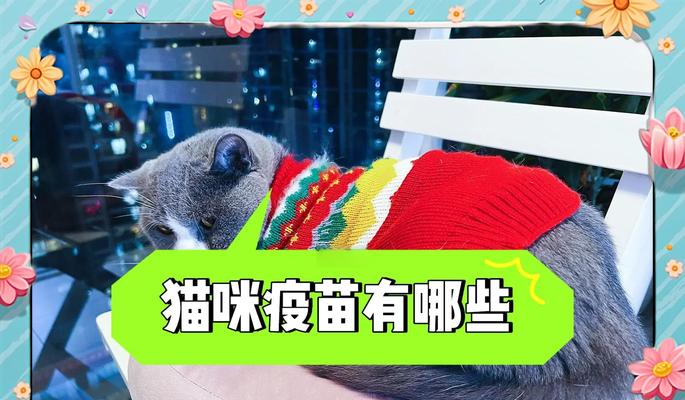 猫猫疫苗，保护你的爱宠健康（了解猫猫疫苗的种类与作用，选择最适合你的宠物的防疫措施）