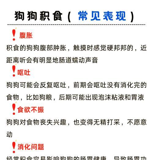 狗狗易消化的食物（提供健康与营养的狗狗饮食，让它们消化更轻松）