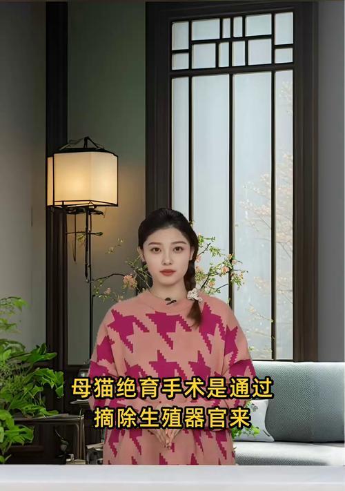 猫咪绝育后的健康养护（了解猫咪绝育后需要多久的养护时间和方法）