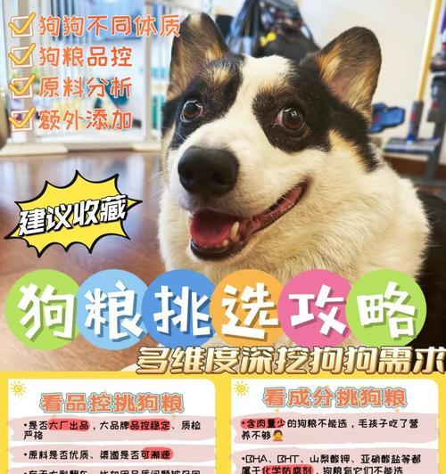 狗粮泡的最佳时间是多久？（科学确定狗粮泡的时间，让爱宠更健康）