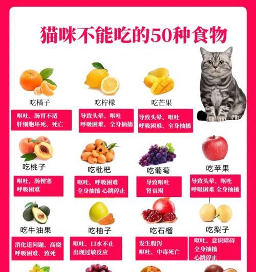 猫可以吃哪些内脏？（探索猫咪饮食的秘密，了解适合猫咪食用的内脏）