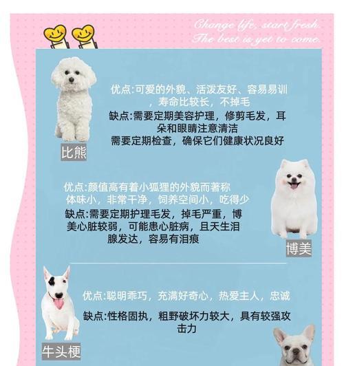 冬天如何科学给泰迪洗澡（泰迪冬季洗澡频率与护理技巧）