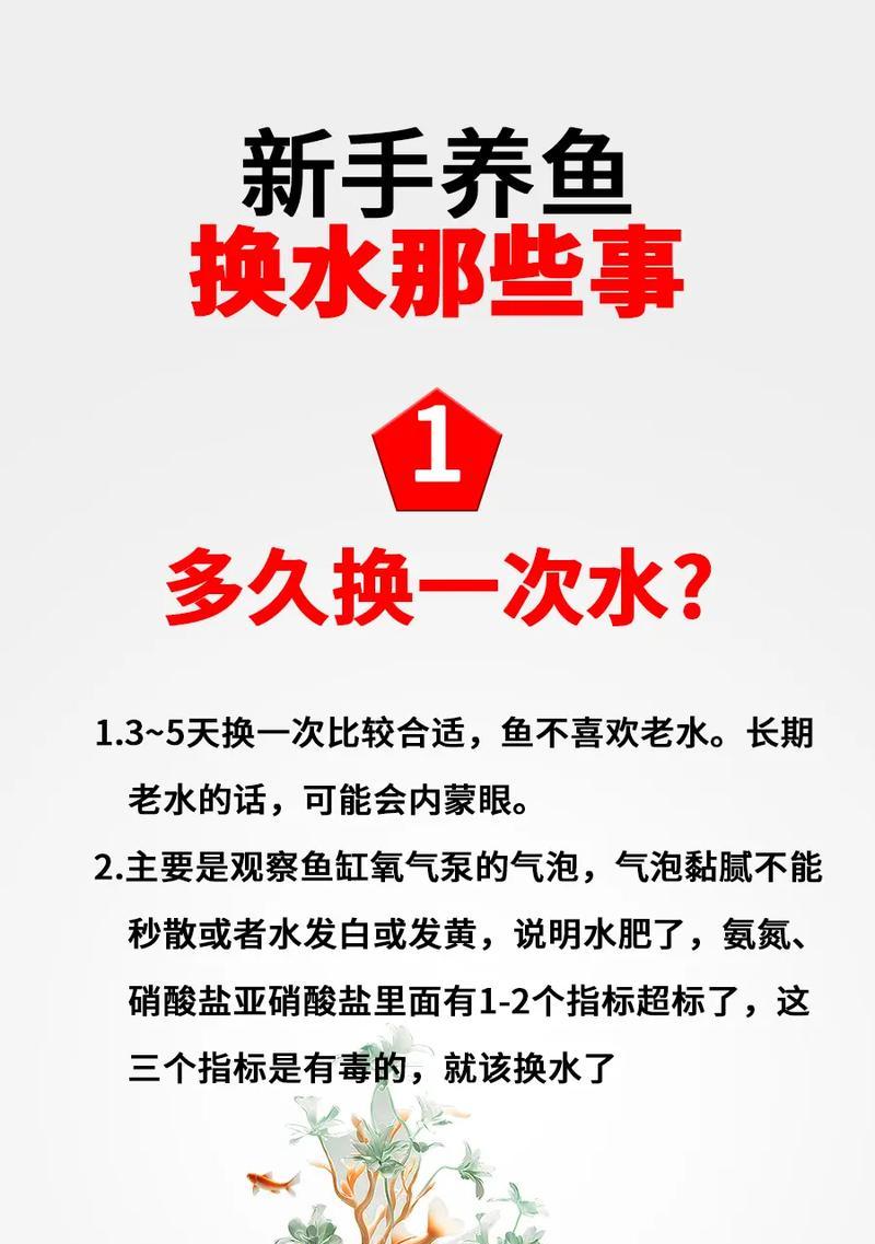 晒水时间与鱼类养殖的关系（揭秘晒水对养鱼的影响及最佳晒水时间）