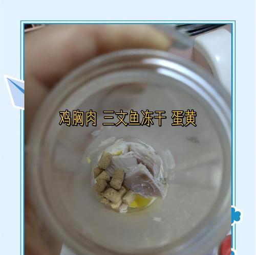 探究小猫奶糕的适宜食用时长（小猫奶糕的最佳食用期限及相关注意事项）