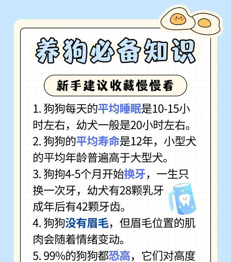 夏季养阿拉斯加的5个注意事项（合格的铲屎官都要知道的关键点）