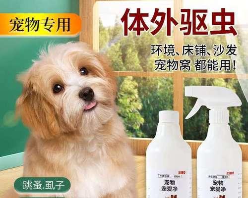 宠物猫的驱虫周期与方法（保护宠物猫健康，驱虫工作不能忽视）