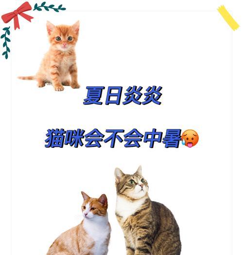 猫咪中暑的治疗时间到底需要多久？（揭秘猫咪中暑治疗的关键时间节点）