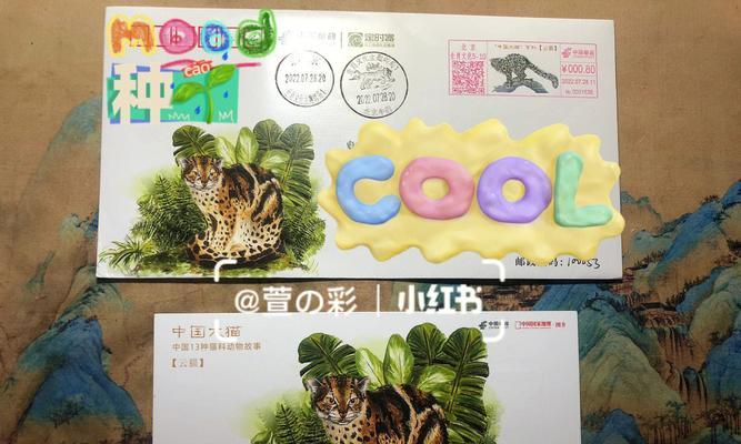 探秘神奇的云猫世界（东南亚小精灵的奇幻之旅）