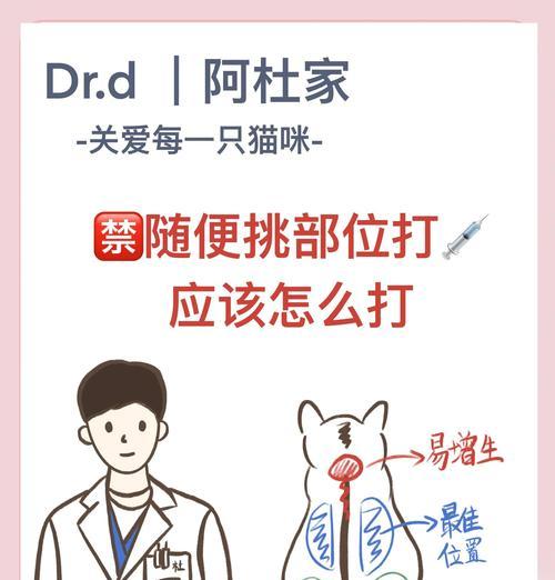 小猫出生后多久打针？（猫咪健康保护计划与打针时间表）