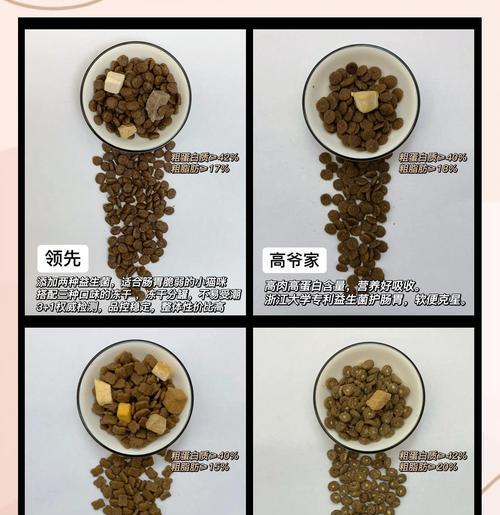 如何选择适合新手猫的猫粮？（国产与进口，你需要了解的猫粮品类）