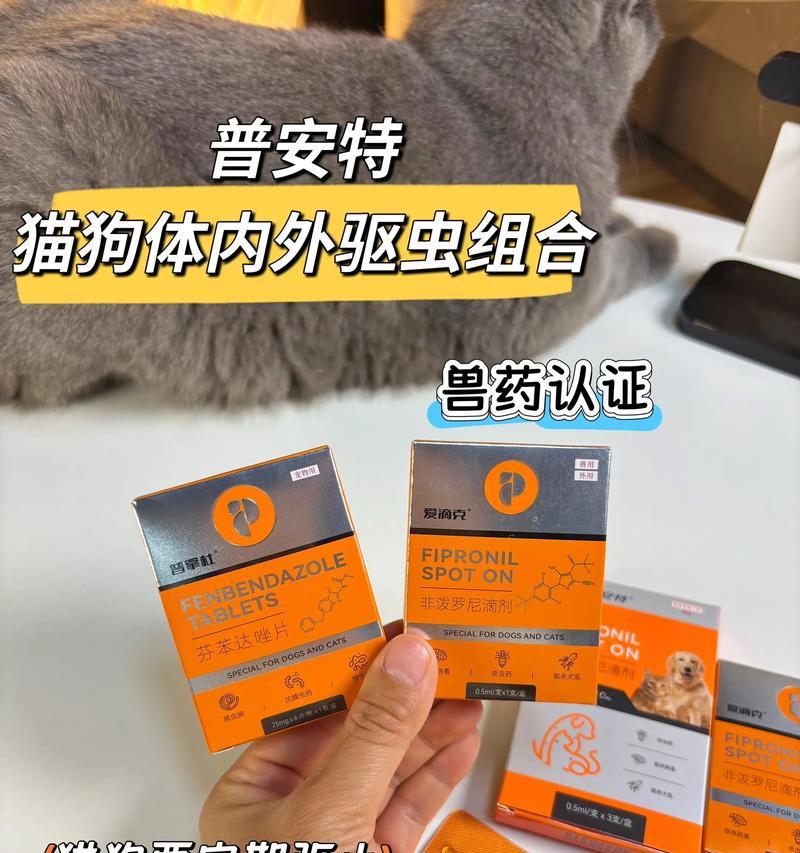 三个月一次，让你的狗狗远离寄生虫！（探讨狗狗每三个月体内驱虫药的使用效果及注意事项）