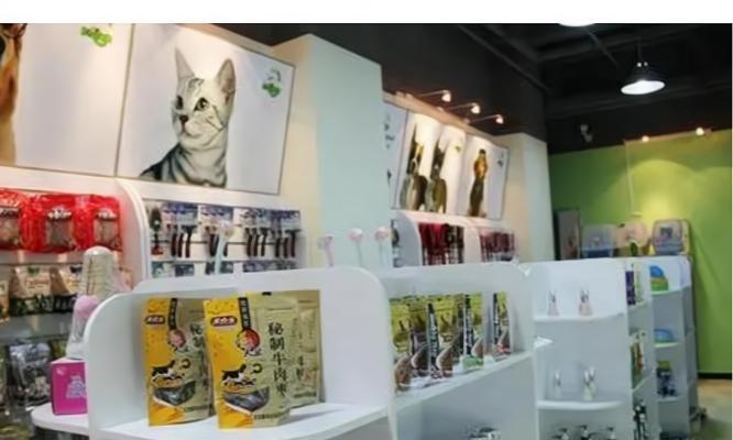 九江的宠物店（探索九江城市中的宠物世界）