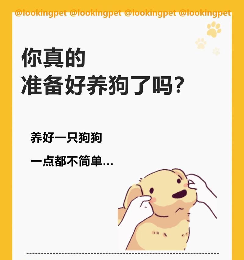 购买狗狗前的必备准备工作（养狗之前你必须要做的事情）