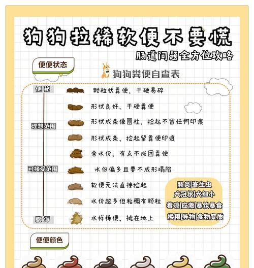 狗狗拉稀怎么办？——细节探讨与解决方案（狗狗拉肚子软便怎么办？药物治疗的有效方法）