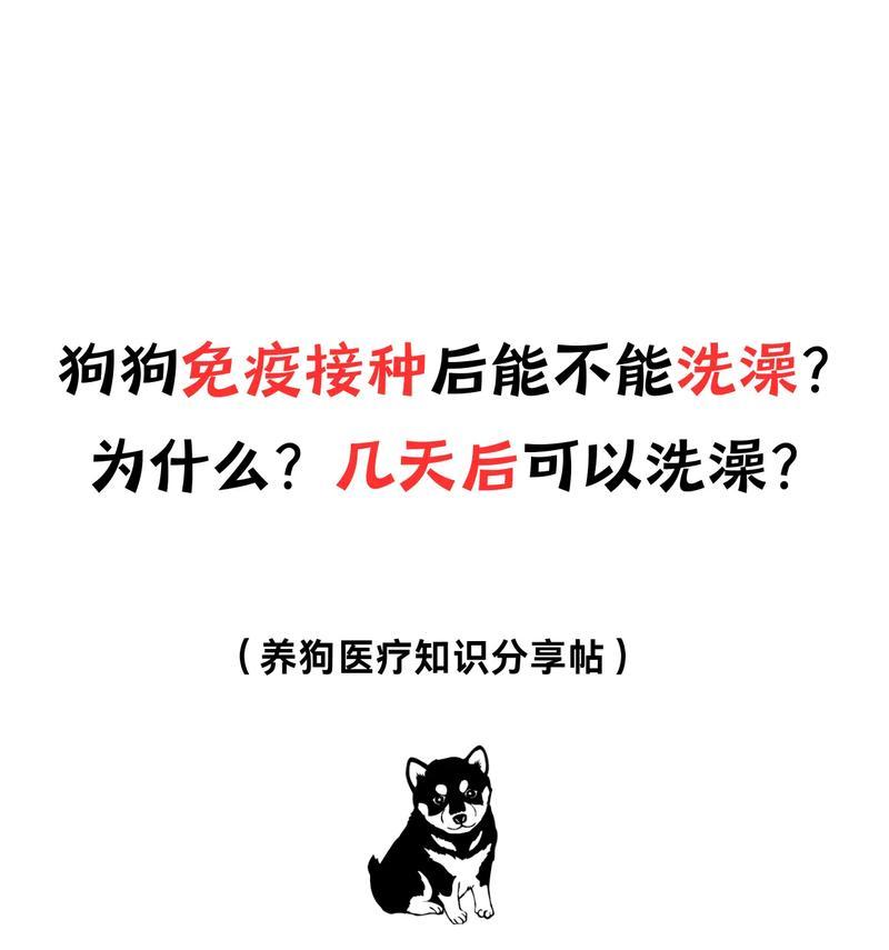 小狗洗澡的时间与频率（了解适宜洗澡的时间和频率，让小狗健康干净）