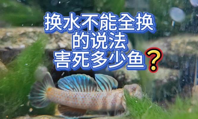 养海水鱼（了解养海水鱼中水的重要性及换水的周期）