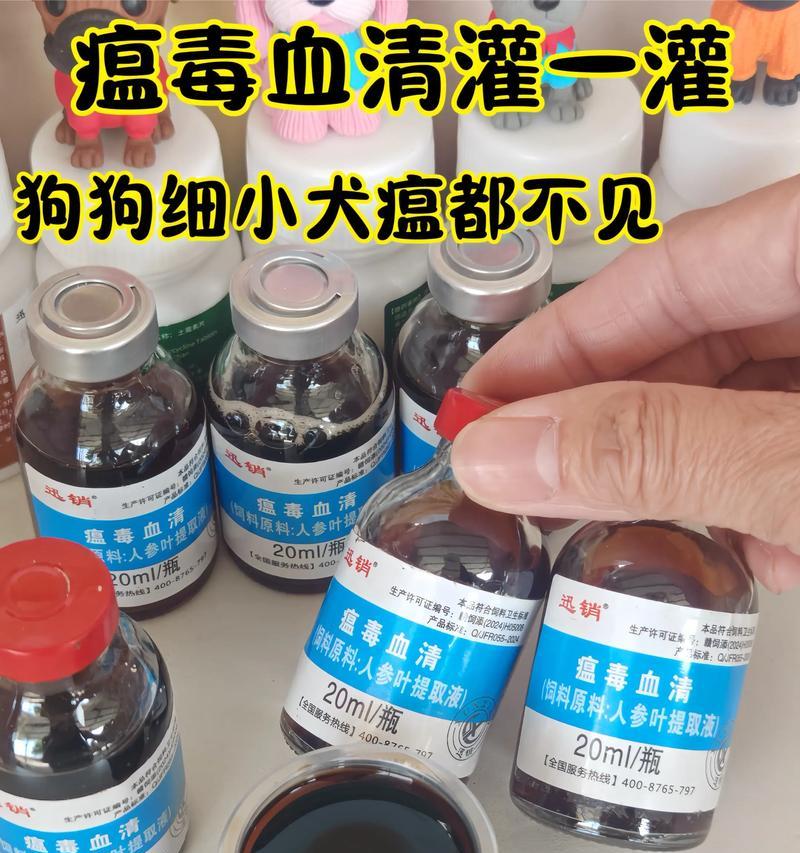 狗狗细小死亡后多久能再养一只？（合适的时间间隔和准备工作，帮助你为家庭迎来新的狗狗。）