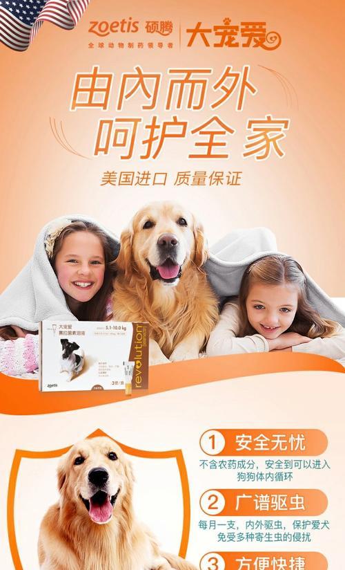 小泰迪出生多久应进行体外驱虫（了解小泰迪体外驱虫的重要性及最佳时机）