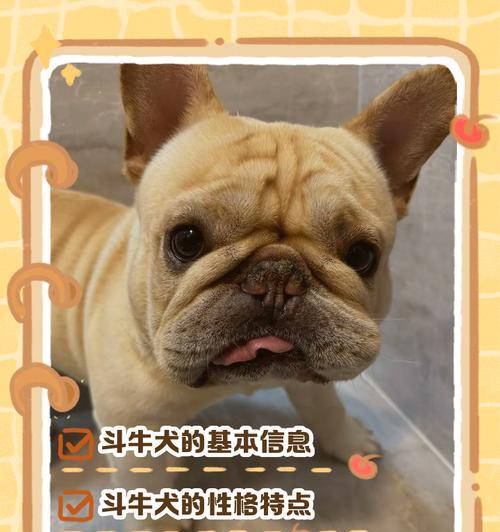英国斗牛犬的发育周期（探究英国斗牛犬从出生到成熟的发育阶段及时间）