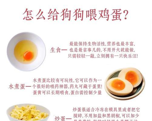 小狗的适宜饮食与喂养方法（为您揭秘1至3个月小狗的饮食规律与喂食技巧）