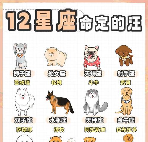 7种适合陪伴小孩子成长的狗狗（拥有这些狗狗，让孩子的成长更加温馨与快乐）