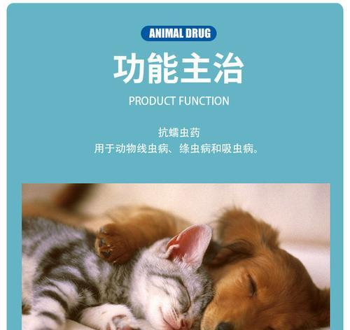 泰迪蛔虫排泄时间长短的因素分析（揭秘泰迪狗犬中排泄时间的关键要素与影响因素）