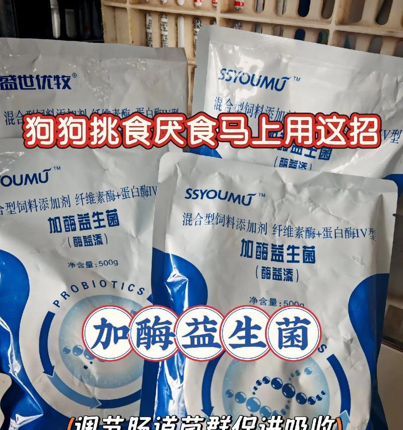 狗狗的健康需要益生菌的帮助（为宠物狗提供益生菌补充的必要性与效果）