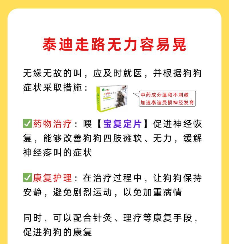 泰迪的日常散步时长是多久？（探究泰迪散步时间的合理性与重要性）