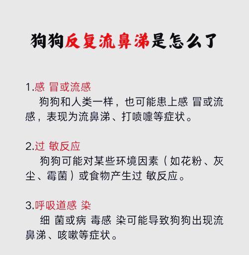 狗狗感冒，需要多久才能好？（狗狗感冒康复时间及关键因素分析）