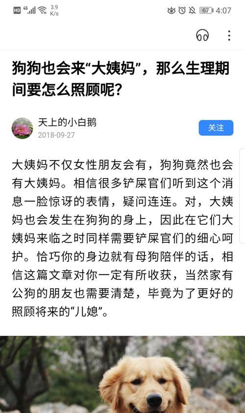 狗狗姨妈周期之长久疑问（解密狗狗姨妈周期与健康关系）