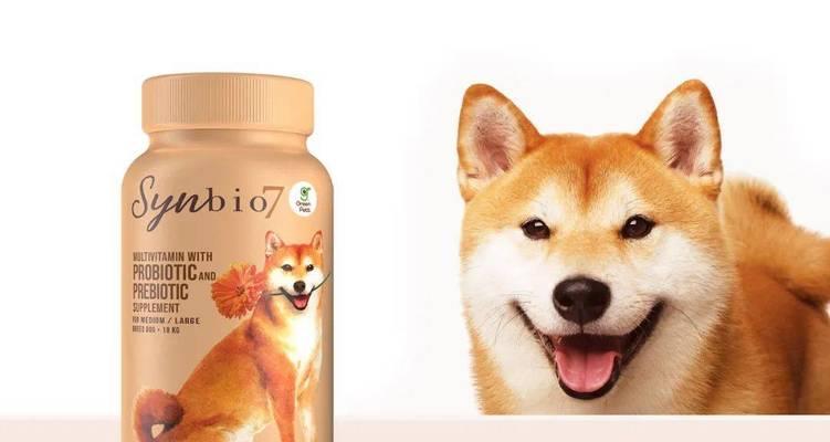 宠物粮品牌推荐（了解宠物粮品牌，选择最适合您宠物的食物）