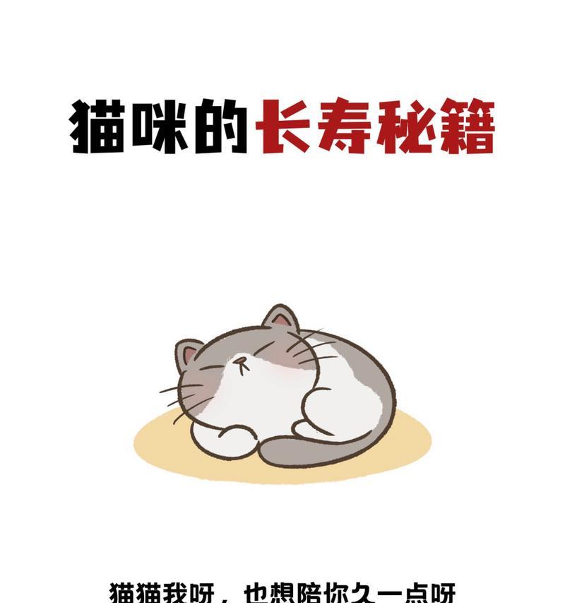 让猫咪长寿的秘诀（掌握这些养猫技巧，给你的猫咪一个长寿的家！）