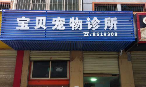 泰迪剖腹产术后恢复时间及注意事项（详解泰迪剖腹产手术后的康复过程和护理要点）