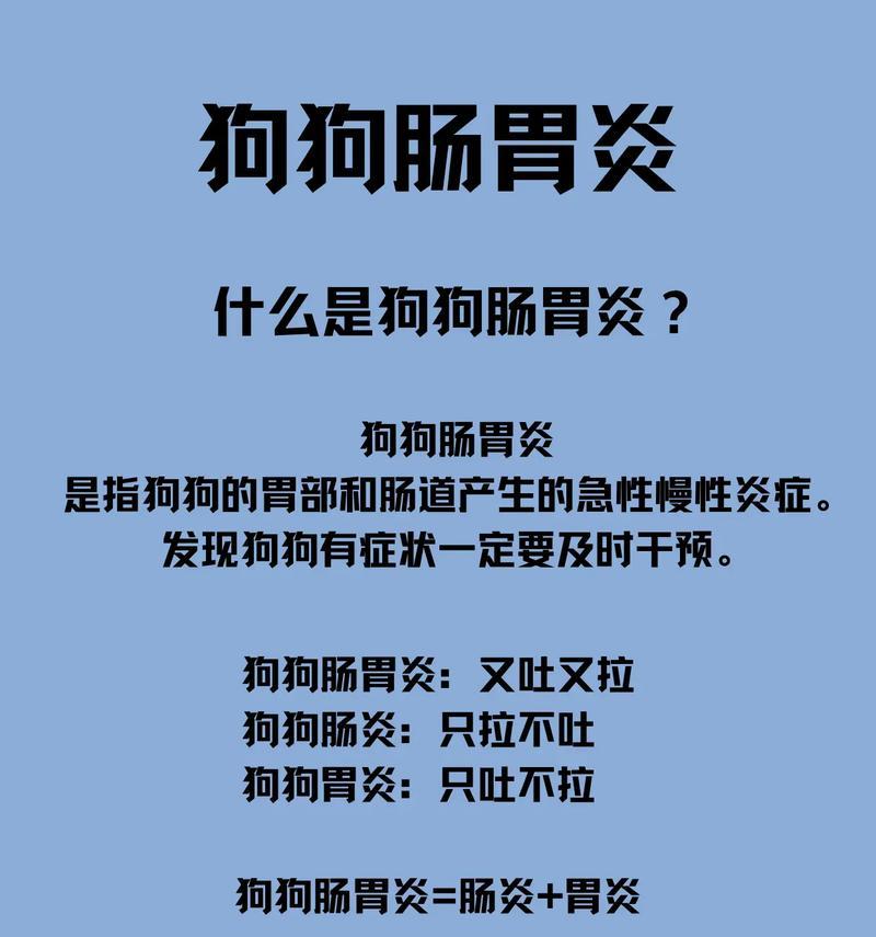 狗狗肠胃炎的饮食管理（了解肠胃炎对狗狗的影响，正确喂养有助康复）