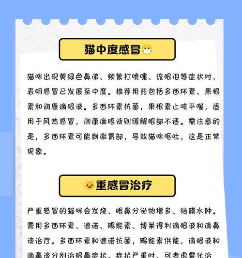 帮助猫咪缓解感冒症状的有效药物