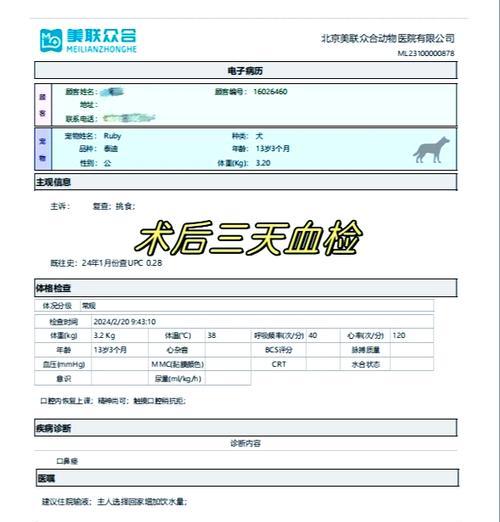 狗狗拔牙后的饮食注意事项（狗狗拔牙后多久可以开始吃东西？）
