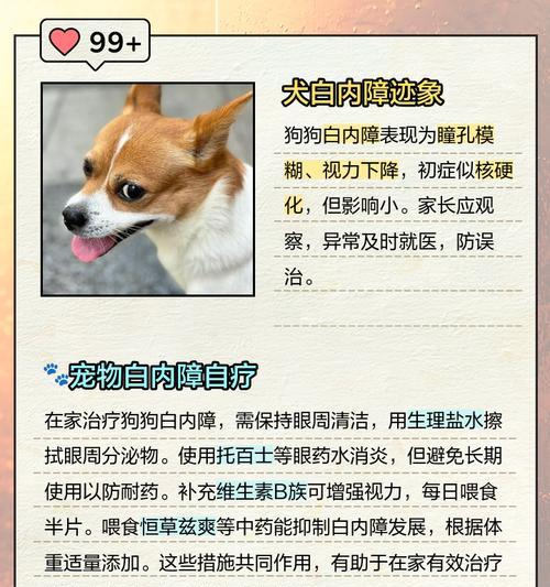 狗白内障的成熟过程及时间（探究狗白内障形成的关键因素和时间长度）