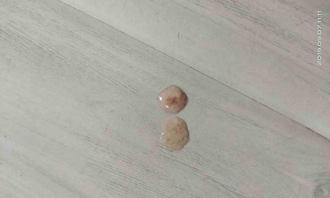 泰迪产后排便时间正常吗？（了解泰迪宝宝产后排便情况的一些常见问题）