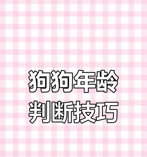 如何判断小狗的年龄？（通过外观和行为综合判断小狗的年龄）