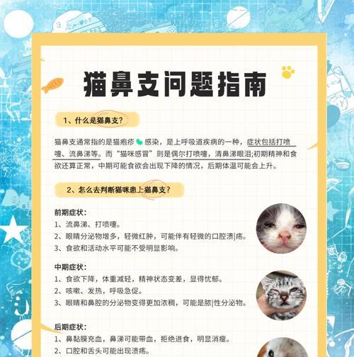 猫鼻支检查和照顾的完全指南（了解猫鼻支的症状、检查和正确的照顾方法）